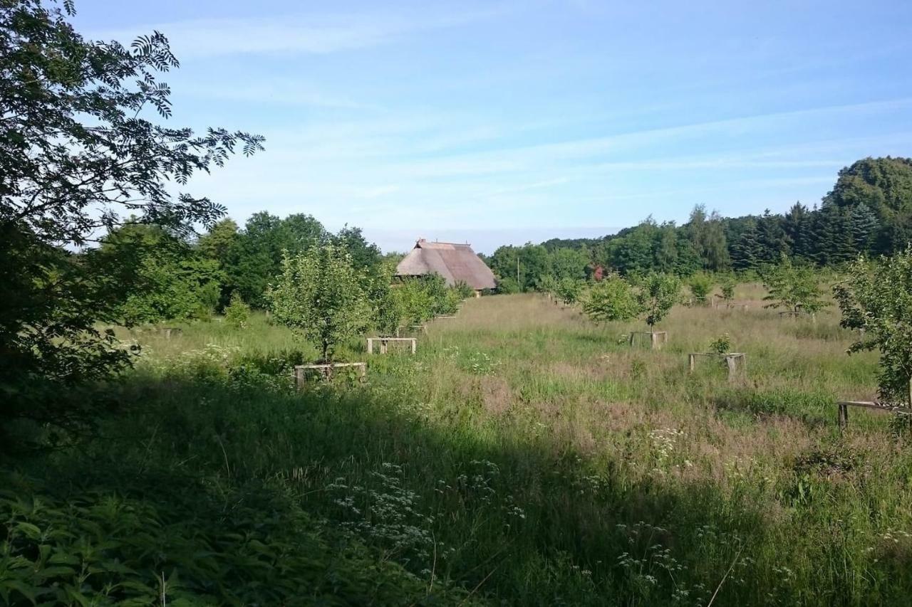 Chalet Forsthof Everstorf Grevesmuhlen Εξωτερικό φωτογραφία