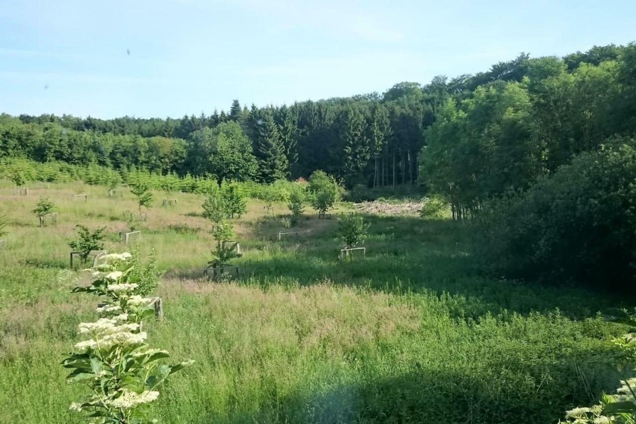 Chalet Forsthof Everstorf Grevesmuhlen Εξωτερικό φωτογραφία